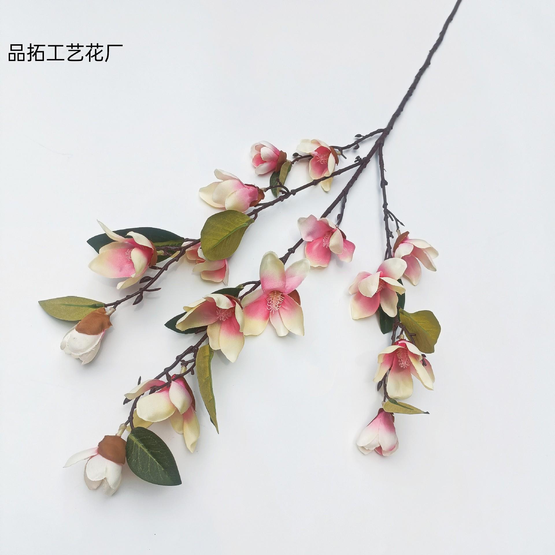 f5f19a6df262380821822d3275bc14