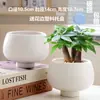 Maceta de Cerámica con Plato para Uso en el Hogar, Exquisita Estilo Ins Blanco Lujo Ligero Minimalista Estilo Crema Maceta para Orquídeas Suculentas