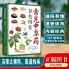 Libro Ilustrado a Color de Medicina Herbal China Común: Identificación y Aplicación de 203 Hierbas Medicinales Chinas Comunes, Fácil de Entender de un Vistazo