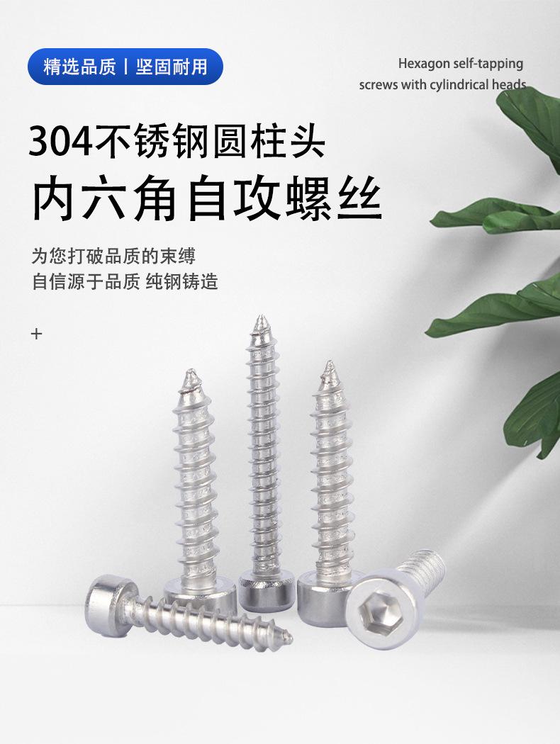 304不锈钢圆柱头内六角自攻螺丝_01.jpg
