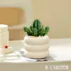 Plantas suculentas, plantas pequeñas de interior en maceta, cactus de mesa para sala de estar, plantas verdes, flores de vivero, fáciles de cuidar durante todo el año