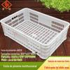 078 cesta de alimentos vegetais de fábrica moldura de frutas de plástico cesta de pimenta moldura de armazenamento caixa basculante de plástico plástico de atacado