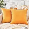 Funda de Almohada de Terciopelo Transfronteriza con Borde en Forma de Concha Funda de Almohada Decorativa Simple de Color Sólido para Sala de Estar Sofá