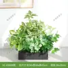 HC-EB6Flores artificiales, césped artificial, flores de plástico, plantas verdes, maceteros, jardineras, arreglos florales, vallas divisorias, flores de exterior