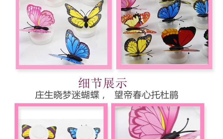 发光蝴蝶_11