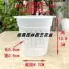 Macetas de Raíz Nutritiva de Gota de Lluvia de Alta Calidad, Material Transpirable para Plantar, Macetas Transparentes para Orquídeas, Macetas Huecas Nuevas para Orquídeas Mariposa, Diseños Pintados, Otros