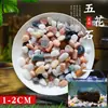 Arena de fondo para acuario, piedras decorativas, juego completo de piedras florales de lluvia ecológicas naturales, piedras luminosas y piedras en bruto
