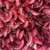 Larva Minhoca Luya isca isca artificial plástico minhoca macia isca biônica artificial AliExpress mais vendido 2cm/0.4g