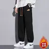 Pantalones Casuales de Alta Gama Estilo Hong Kong con Forro Polar para Hombre, Gruesos de Invierno, Marca de Tendencia, Caída Versátil, Ajuste Holgado, Pantalones Deportivos