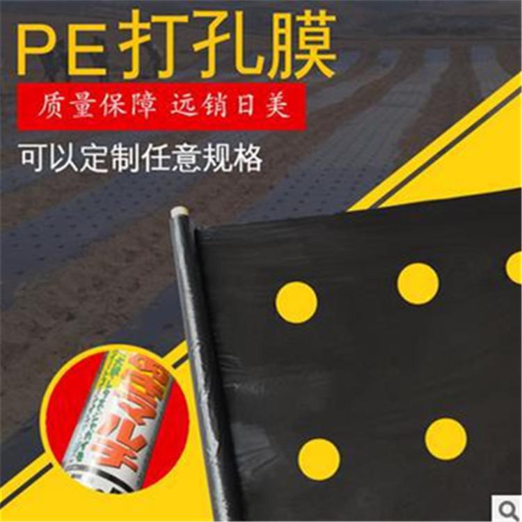 4254042284_859603845_副本