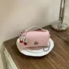 Bolso Femenino de Nicho Estilo Coreano Transfronterizo Moda Verano 2026 Bolso Cuadrado Pequeño con Cadena Bolso Cuadrado Pequeño Cruzado de Hombro Único Casual Simple