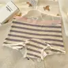 Cueca Boxer Feminina 10A Antibacteriana Estendida e Alargada 100% Algodão com Forro Antibacteriano Cueca Boxer Feminina 100% Algodão com Listras Arco-Íris