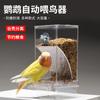 Comedero automático antisalpicaduras para loros, comedero externo para pájaros, piel de tigre, peonía, Xuan Feng, suministros para pájaros.