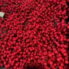 En stock 8 tenedor Nochevieja Fruta Roja Fa Cai Fruta Fruta de Acebo Cubo Insertar Frijol de Acacia Longitud Total 70cm Fruta Roja