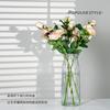 Jarrón Decorativo de Vidrio Transparente Estilo Nórdico Ins para Sala de Estar Adorno Creativo Jarrón de Rayas Verticales para Flores Secas y Arreglos Hidropónicos
