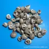 Artesanías de Caracolas Naturales Vendidas por Libra para Acuarios, Fotografía, Educación de Estudiantes y Niños, Minería y Uso Marino