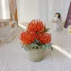 Bonsái Redondo Pequeño para Exhibición en Mesa, Hierba de Roca, Hojas de Ciprés, Flores Artificiales, Flores Falsas, Flores Decorativas, Arreglos de Flores Artificiales para Ambientación de Escena