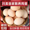 Huevos Auténticos Frescos de Gallinas Libres de Corral de Zonas Rurales, Huevos de Gallinas Libres de Corral de Agricultores Cooperativistas, Compensación por Daños en Empaque de Película Plástica