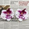 Flor individual de simulación de Phalaenopsis roja de internet peinado Lu Fu regalo de mano caja de dulces 9cm hecho a mano diy accesorios decorativos