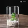Jarrón para Plantas Hidropónicas Maceta de Vidrio Borosilicato Jarrón de Flores Artístico Botella Paisaje de Musgo Jarrón de Vidrio Recto