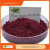 Pó de Uva Pó de Uva Pó Solúvel em Água Pó Hidrolisado de Uva Pó para Substituição de Refeição Pó de Uva Pó de Frutas e Vegetais Haoze Bio