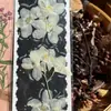 Flores reales flores prensadas tarjetas de felicitación de flores prensadas con tema de bosque, tarjetas de votos, tarjetas, regalos florales, marcapáginas, tarjetas de presentación, tarjetas de invitación y artículos decorativos