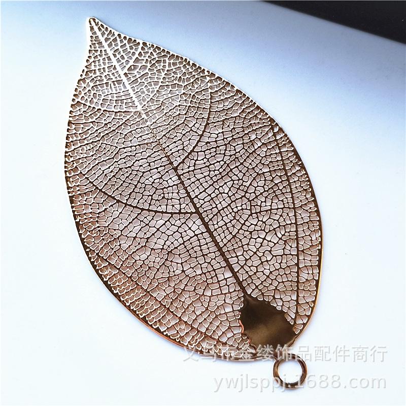 IMG20190129175347_副本