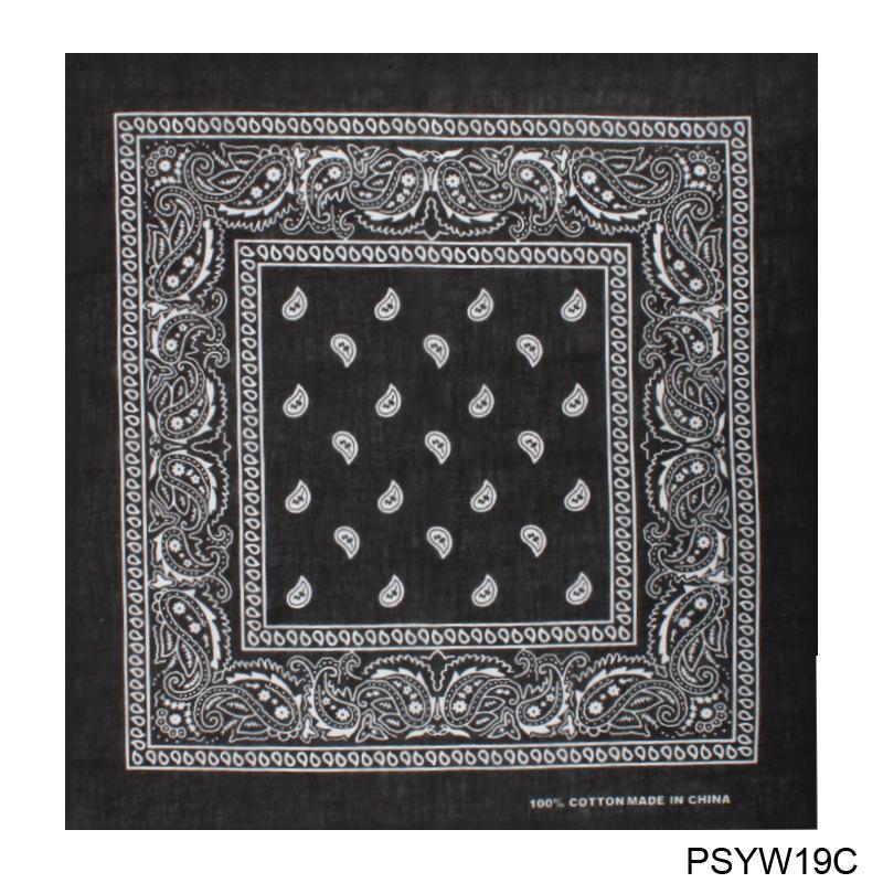 PSYW19C