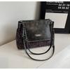 Bolso de hombro con estampado de leopardo para mujer, elegante, estilo coreano, otoño e invierno, 2024, informal, con cadena
