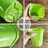 Vaso Quadrado para Suculenta Echeveria 'Hortula', Vaso de Plástico, Branco e Rosa