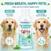 Kineshinex Enxaguante Bucal para Pets Gato e Cachorro Solução de Cuidados para Limpeza Oral Refresca o Hálito e Reduz o Odor