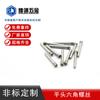 Tornillos de Conexión para Correa de Reloj Inteligente de Precisión Hechos a Medida No Estándar, Tornillos Planos Hexagonales para Reloj, Acero Inoxidable