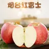 Shandong Yantai Manzana Roja 1.5kg Manzanas Rojas Caja de Regalo de Temporada Caja Colorida Fruta Grande Crujiente Dulce Fruta Fresca