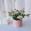 [Piedra Colgante de Flores y Hojas] Plantas Verdes Trepadoras Coloridas, Plantas de Flores en Maceta de Escritorio en la Oficina, Fáciles de Cultivar, Resistentes al Calor y al Frío