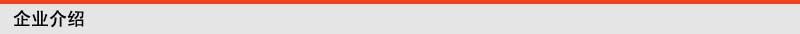 企业介绍标条