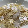 Ostra Borboleta Amarela Ostra Borboleta Preta Ostra Borboleta Branca Coroa de Cabelo Folha de Bordo Esculpida Nova Grampo de Cabelo Joia de Estilo Antigo Joias DIY Acessórios para Joias