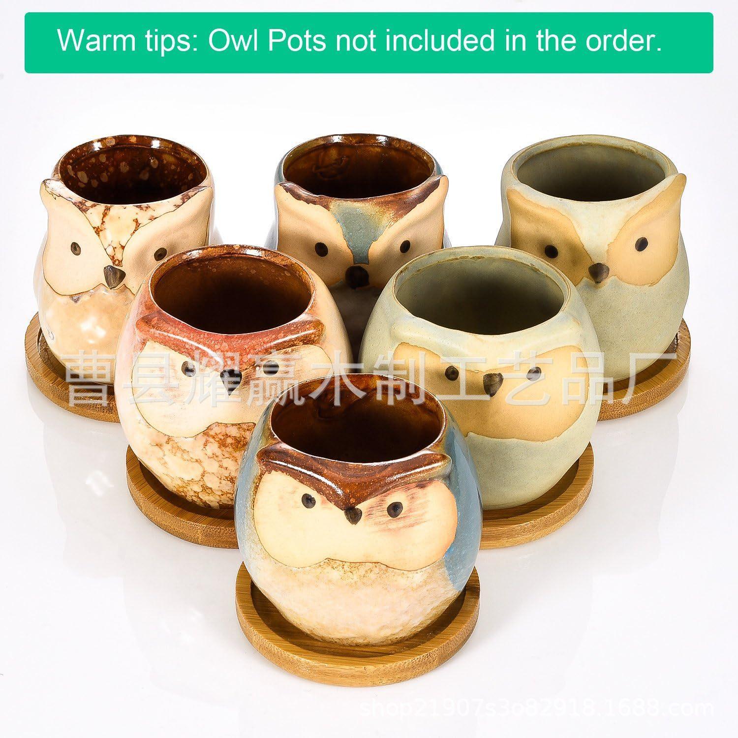 竹制圆形杯垫多肉花盆实木托盘马克杯隔热垫木质杯盖BSCI &