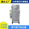 Caldera de vapor a gas de acero inoxidable para cocinar alimentos, generador de vapor a gas industrial pequeño de 60 kg.