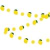 Nueva Fruta Fresa Piña Cuerda de Papel Decoración Hawaiana Flor Día del Niño Fiesta de Cumpleaños Diseño de Fondo