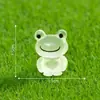 Terrário de musgo, adoráveis sapinhos que brilham no escuro, acessórios decorativos DIY para paisagismo de jardim, pequenos enfeites de mesa