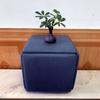 Taburete de almacenamiento combinado multifuncional simple taburete cubo cinco en uno taburete pequeño hogar sala de estar sofá taburete celebridad de Internet cinco taburetes
