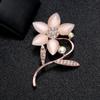 Jóias Roupas Antiderrapante Liga Corpete Pin broche Cross-border Strass Flor Pérola Broche Olho de Gato