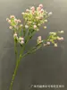 Nueva simulación mini erizo de mar gypsophila flor de arroz estrella decoración de muebles decoración de ramo de gypsophila estrella arreglo floral pequeño fresco