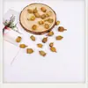 Pendientes de Planta Fruta Bellota Hechos a Mano DIY Fruta Pendientes Personalizados Creativos Material Chica Linda Pendientes Retro