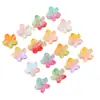 Grampo de Cabelo Bauhinia Degradê Estilo Tropical Sudeste Asiático Transfronteiriço Grampo de Cabelo Frangipani Colorido Acessório de Cabelo Estilo Ins