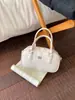 Bolso Boston de Nueva Moda Transfronterizo con Patrón de Lichi para Viajes Diarios Estilo Coreano Nicho Ins Bolso de Hombro Cruzado Tipo Almohada Bolso de Mujer