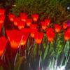 Lámpara de tulipán LED lámpara de decoración de linterna de simulación lámpara de ramo luz nocturna planta verde venta al por mayor lámpara de decoración de linterna navideña