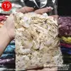 Arte de Uñas Piezas de Concha Natural Irregulares Grandes Color Mágico Piezas Ultradelgadas DIY Se Pueden Romper Calcomanía de Suegra Incrustación Joyería