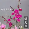 Planta de Phalaenopsis en Maceta con Vara Floral y Capullo Floral Flor Otoño e Invierno Orquídea para Sala de Estar Plántula Grande Planta de Interior Fácil de Mantener en Todas las Estaciones