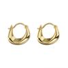 Corea del Sur Simple Irregular Nicho Atmosférico Elegante Moda Lujo Ligero Nicho Diseño Avanzado Aretes